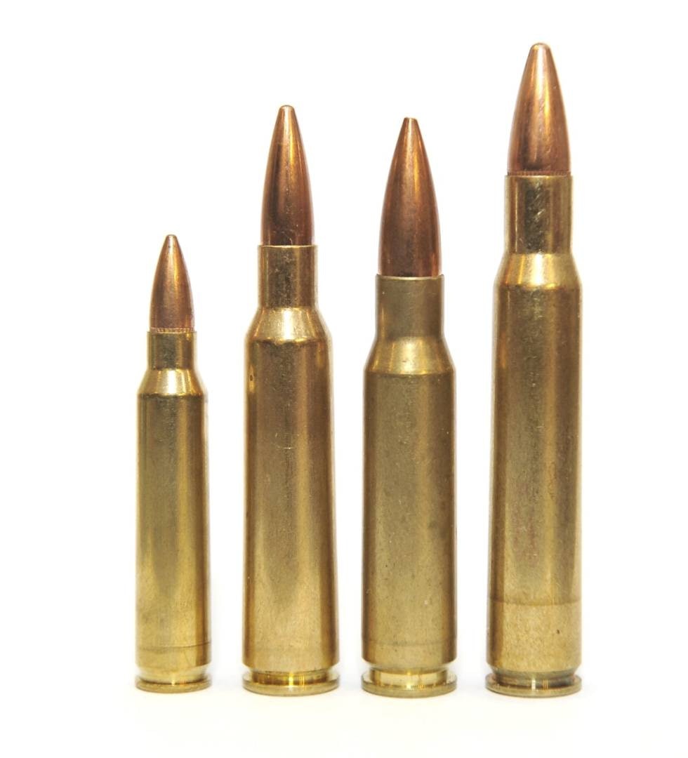 VELG LETT: Som riflejeger har du et utall kalibre å velge mellom, men velg heller på den lette siden av det som er tillatt til din jakt. Fra venstre: .223 (tillatt til rådyr, ikke større hjortevilt), 6,5x55, .308 og 30.06. VELG LETT: Som riflejeger har du et utall kalibre å velge mellom, men velg heller på den lette siden av det som er tillatt til din jakt. Fra venstre: .223 (tillatt til rådyr, ikke større hjortevilt), 6,5x55, .308 og 30.06.