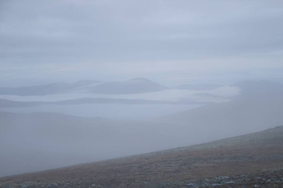 Jakt i skodde: Litt variasjon i været? Regn, frost, skodde, oppholdsvær! Disse dagene i Rondane ble jakta mye hindra av skodde, så kompasset var min beste venn! Jakt i skodde: Litt variasjon i været? Regn, frost, skodde, oppholdsvær! Disse dagene i Rondane ble jakta mye hindra av skodde, så kompasset var min beste venn!
