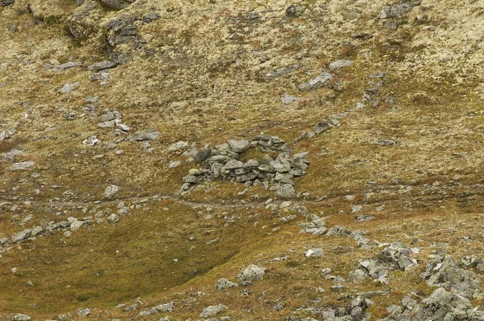 Veidemannskultur: Rester etter ei gammel fangstgrav minner oss om den gamle veidemannskultur. Legg merke til den tydelige dyrestien tett ved grava. Veidemannskultur: Rester etter ei gammel fangstgrav minner oss om den gamle veidemannskultur. Legg merke til den tydelige dyrestien tett ved grava.