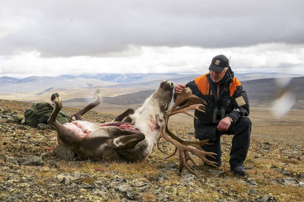 Kontroll: Fjelloppsynsmann Asgeir Myhrmoen i Dovre gratulerer med fin storbukk og kontrollerer at alt er ok. Kontroll: Fjelloppsynsmann Asgeir Myhrmoen i Dovre gratulerer med fin storbukk og kontrollerer at alt er ok.