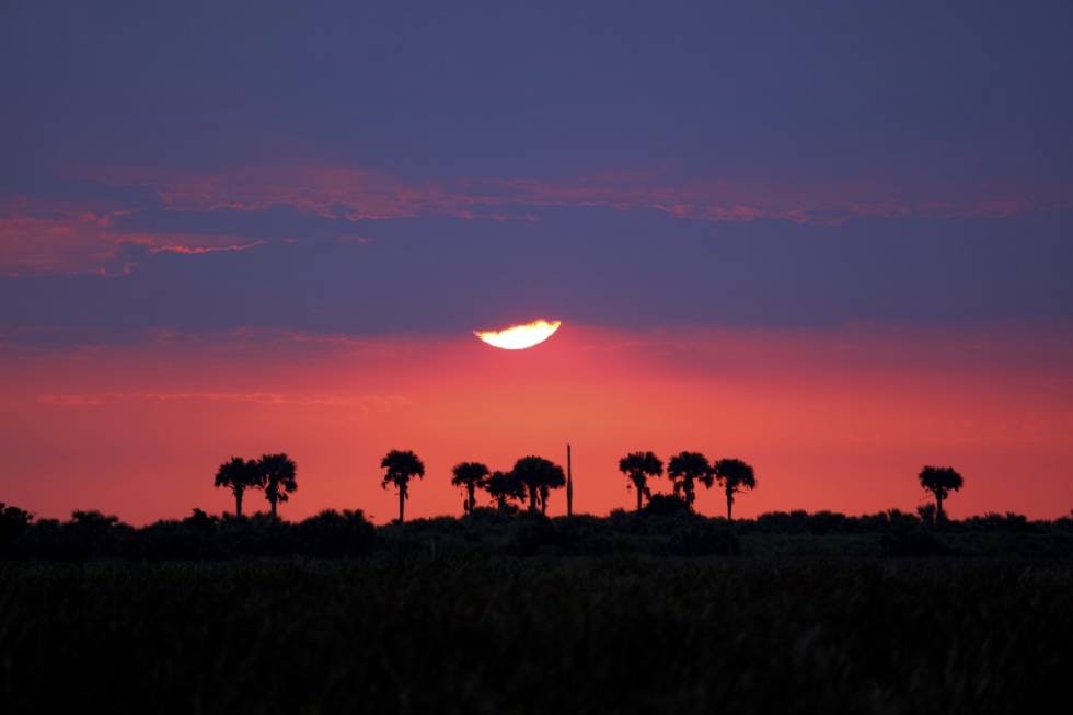 VAKKERT:  Lite overgår solnedgang over savannen.