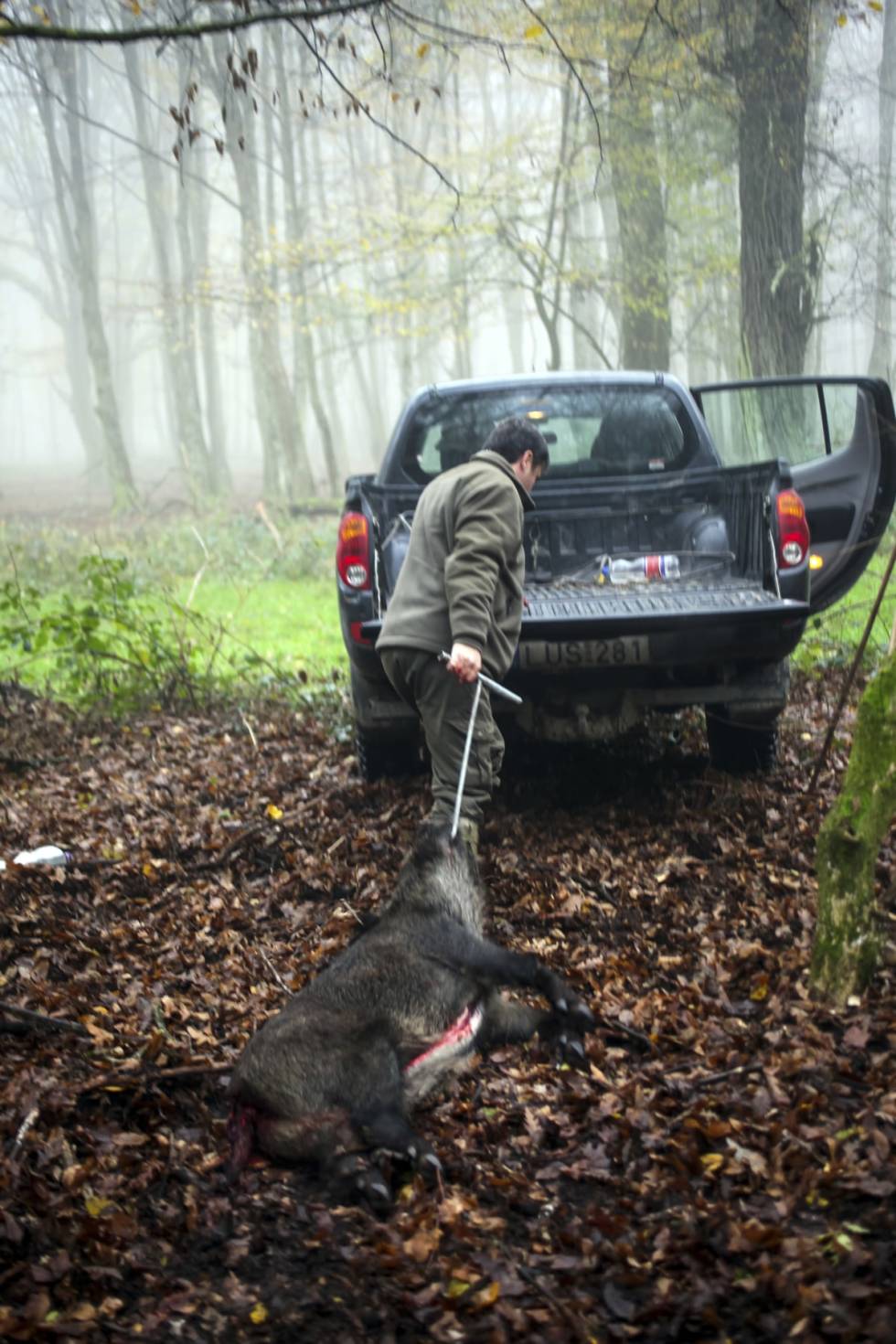 SLIPPER SLIT: Det er uten tvil behagelig å slippe både utveiding og slakting av og til.