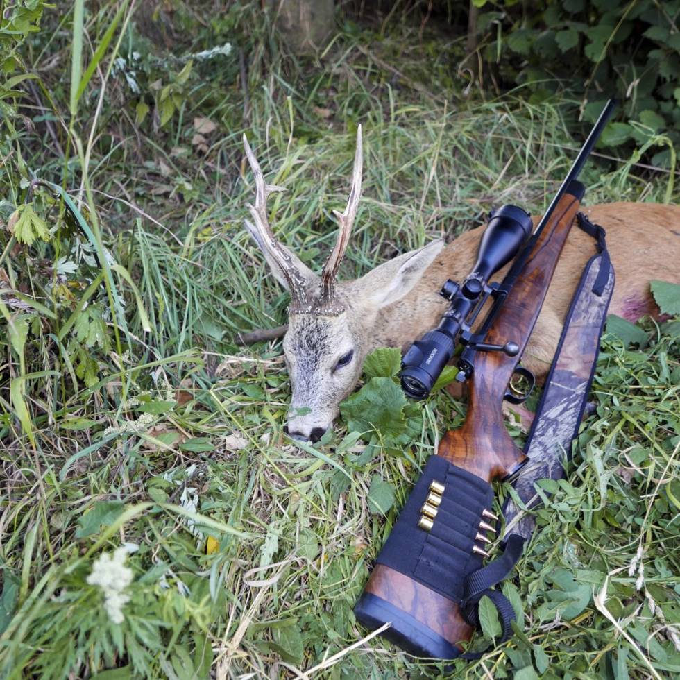 GODE TROFÈMULIGHETER: Ofte kan man også få anledning til å skyte store bukker, men vær oppmerksom på at det kan koste noen kroner mer enn man har tenkt seg.