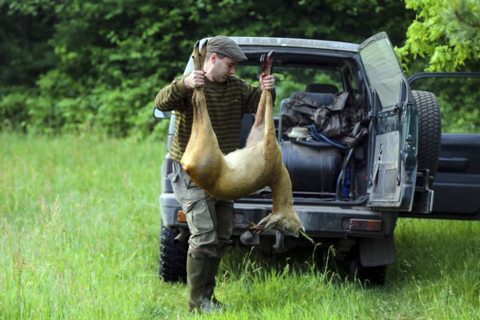 AVSLAPPET JAKTFORM: Det kreves ikke særlig god fysikk for å jakte bukk i Polen, og slikt sett egner denne jaktformen seg også godt for eldre jegere.
