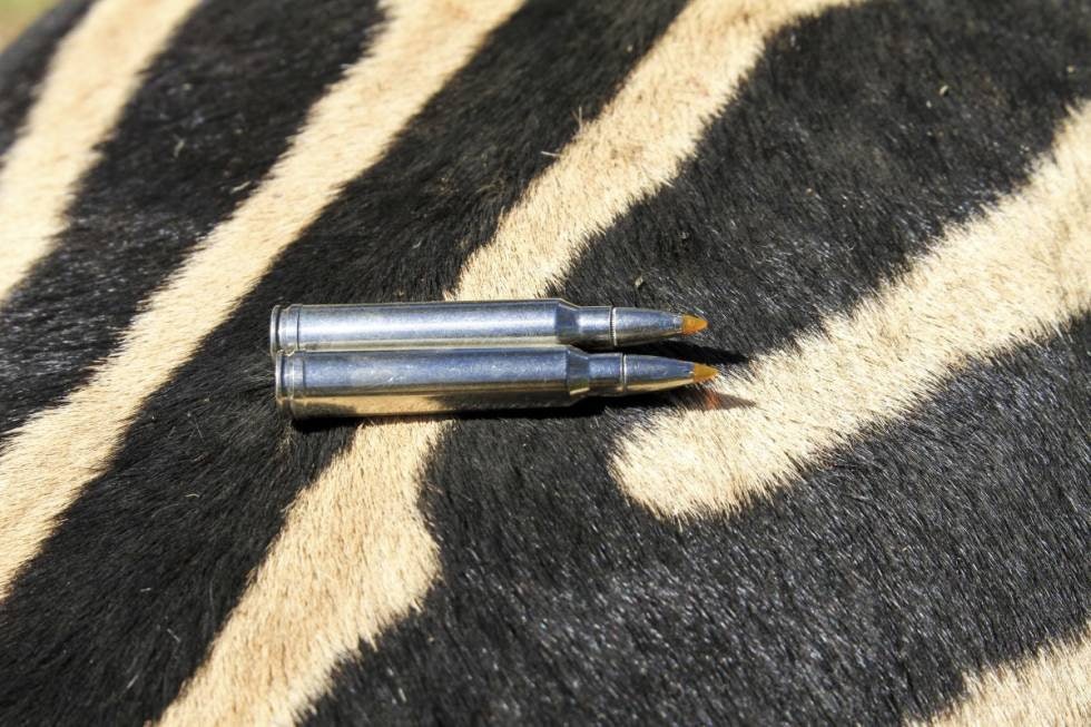 SEBRA SUKSESS: Trophy Bonded Tip funker bra på sebra. SEBRA SUKSESS: Trophy Bonded Tip funker bra på sebra.