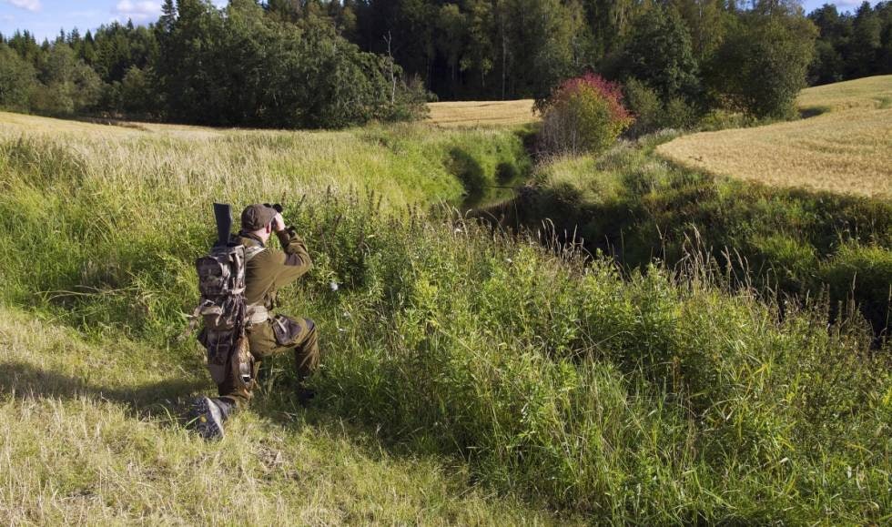 SPEIDING: Andejakt er mye speiding, og fuglene kan være flinke til å gjemme seg i sivet. SPEIDING: Andejakt er mye speiding, og fuglene kan være flinke til å gjemme seg i sivet.