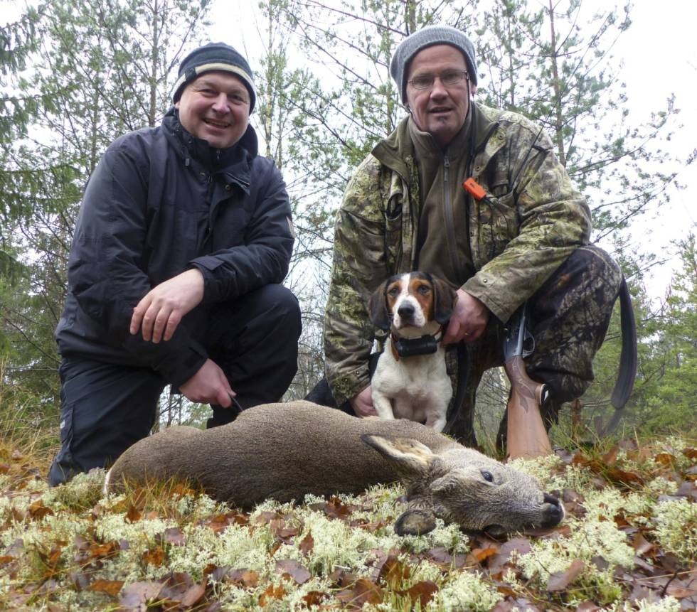 HÅND I HANSKE: Disse gutta er samkjørte og kan sine saker. Dreveren Ronja virker meget tilfreds.