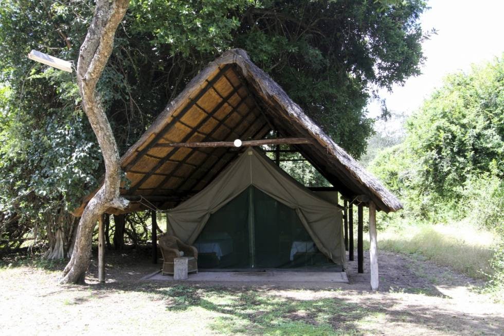 BOLIG I BUSHEN: Når du bor i telt lever du i pakt med naturen og ikke minst dyra.