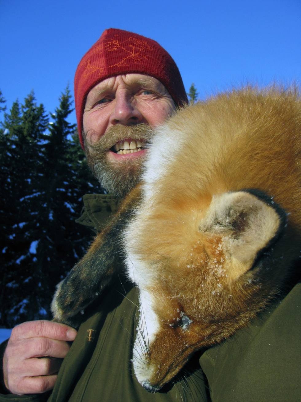TO LURE FANTER:  Men den tobeinte jegeren var litt lurere og klarte dermed å overliste den pelskledde firfotingen. TO LURE FANTER:  Men den tobeinte jegeren var litt lurere og klarte dermed å overliste den pelskledde firfotingen.