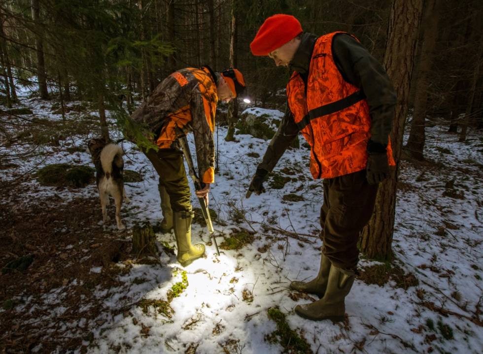 BLODFLEKK: Bula og Henrik Nilsson finner en blodflekk i sporet. Oda trekker i langlina.