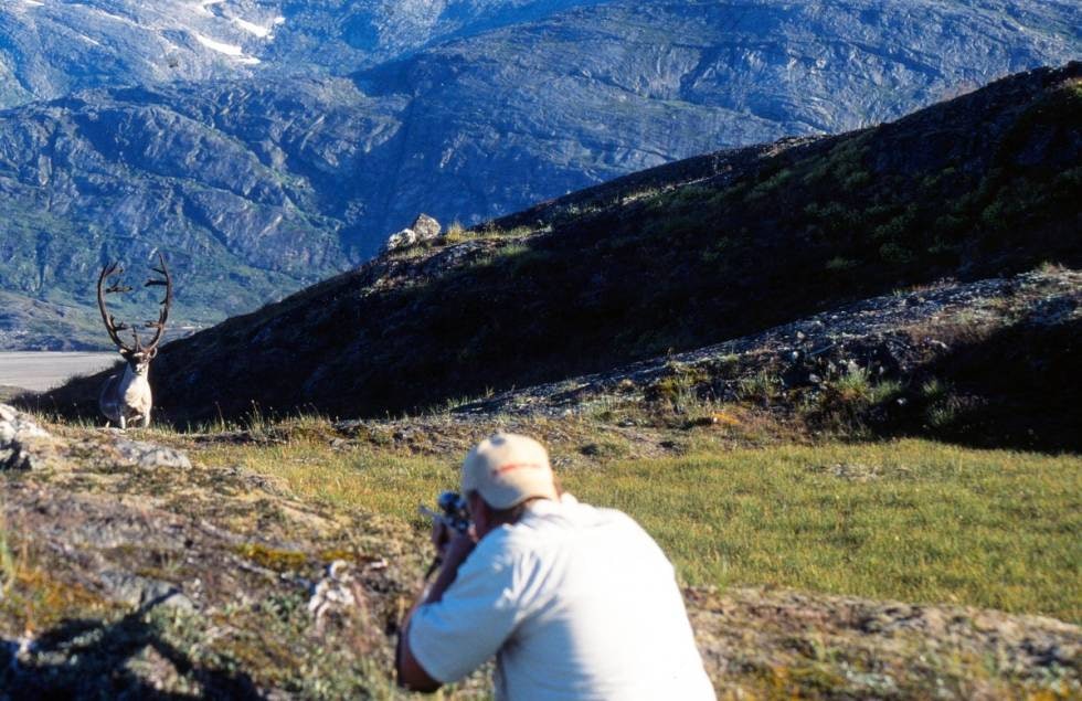 SANNHETENS ØYEBLIKK: I riktig vind og med en god porsjon tålmodighet, har det lykkes jegeren å komme nær inn på denne gullbukken. Det er ganske enkelt ikke mulig å bomme!