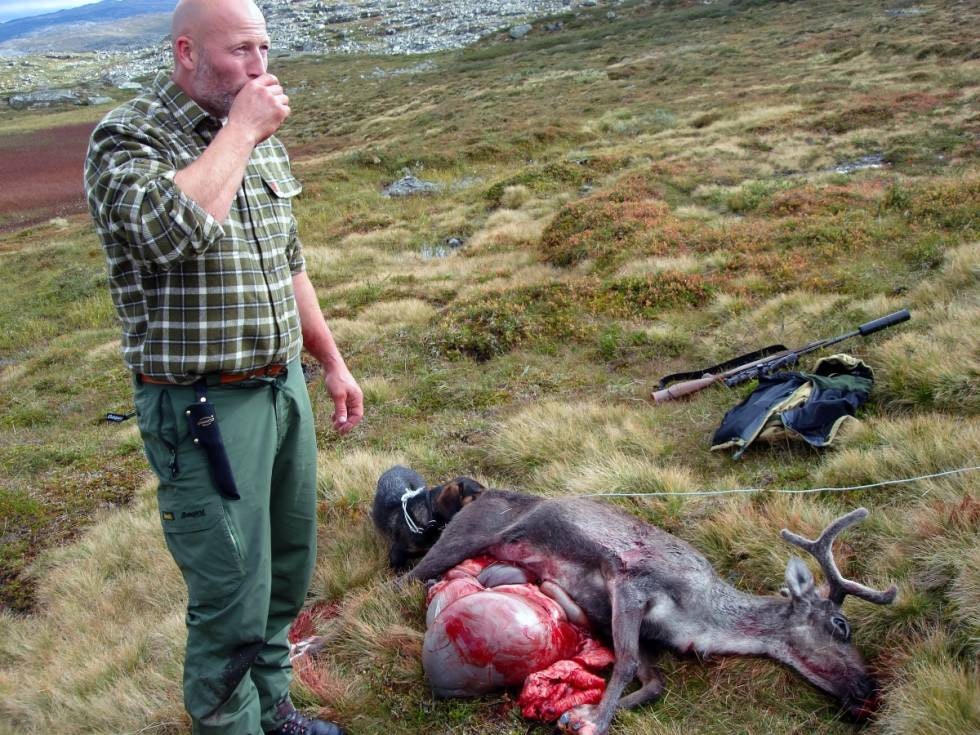 HARDANGERVIDDA: Herlig med en kaffetår før flåing. Reinsdyret ble skutt for “Oscar”. Dachsen er med Lasse på all slags jakt.