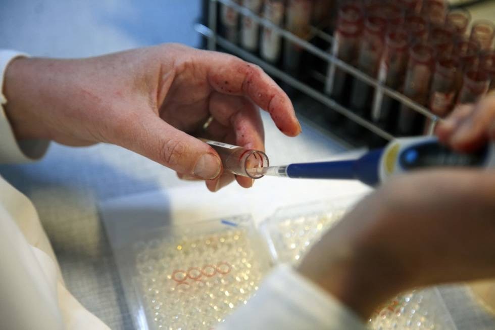 2000 PRØVER: Veterinærinstituttet har tatt to tusen prøver i løpet av 10 år uten å påvise CWD. Men nå er tre dyr påvist med sykdommen, som er i slekt med skrapesjuke og kugalskap. 2000 PRØVER: Veterinærinstituttet har tatt to tusen prøver i løpet av 10 år uten å påvise CWD. Men nå er tre dyr påvist med sykdommen, som er i slekt med skrapesjuke og kugalskap.