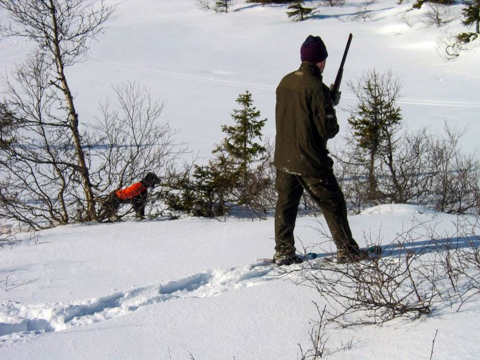 Vinterjakt på fjellrype | JEGER.NO