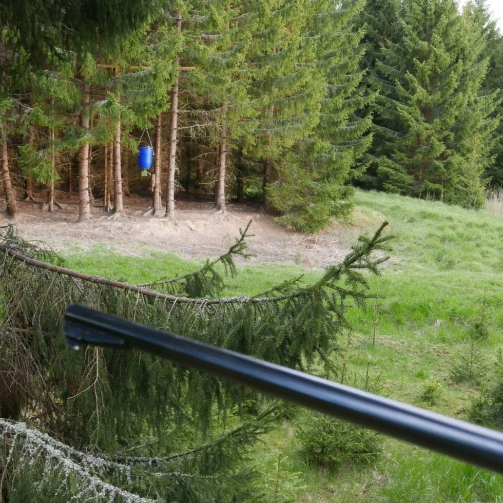 Her er typisk åteplass med fingsautomat i tilknytning til tett terreng og skjul for grisen, samt jakttårn plassert slik at kveldslyset kommer inn bakfra. Her er typisk åteplass med fingsautomat i tilknytning til tett terreng og skjul for grisen, samt jakttårn plassert slik at kveldslyset kommer inn bakfra.