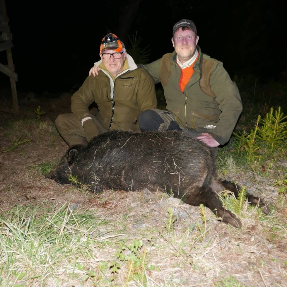 Svein Kubberød fra Kråkerøy gratuleres av jaktleder på Boo Egendom, Per Thelin, med et velrettet skudd og sitt første villsvin. Svein Kubberød fra Kråkerøy gratuleres av jaktleder på Boo Egendom, Per Thelin, med et velrettet skudd og sitt første villsvin.