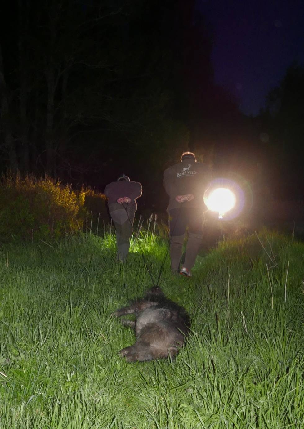 Det kan være vanskelig i farta å vurdere størrelsen på grisene når de kommer fram i halvmørket. Husk at tillatt vekt er levende vekt. Selv en matgris på nesten 60kg rundvekt er tung nok å dram fram til bilen. Det kan være vanskelig i farta å vurdere størrelsen på grisene når de kommer fram i halvmørket. Husk at tillatt vekt er levende vekt. Selv en matgris på nesten 60kg rundvekt er tung nok å dram fram til bilen.