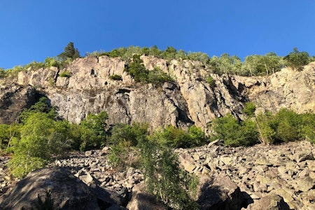 Nedre Sydstup i juli 2019. Foto: Olav Vestlie Nedre Sydstup i juli 2019. Foto: Olav Vestlie