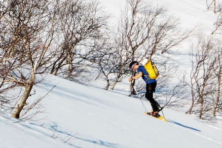 Nelson siger oppover på truger, lengtende etter nordveggens skygge. Foto: Toralf Furseth Nelson siger oppover på truger, lengtende etter nordveggens skygge. Foto: Toralf Furseth