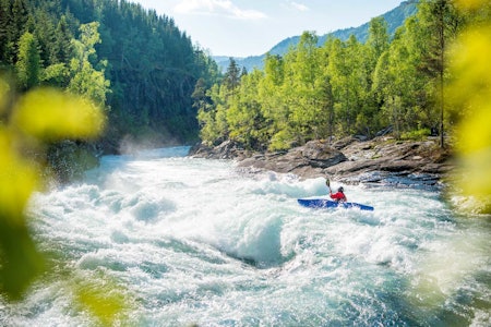 VERDT Å VERNE: Sveitsiske Ron Fischer, som er forlovea med padledronninga Mariann Sæther, vert med Raundalselva inn i solnedgangen. Foto: Sverre Hjørnevik Voss Raudalselva
