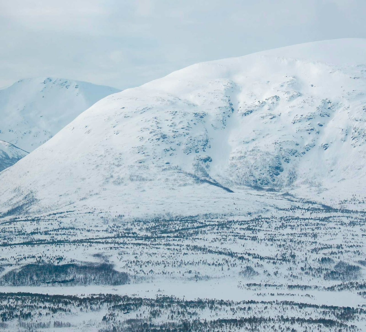 Fra Toppturer i Troms. Fra Toppturer i Troms.