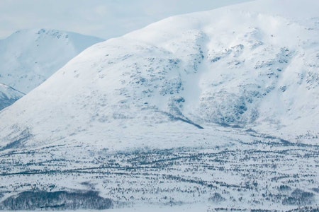 Fra Toppturer i Troms. Fra Toppturer i Troms.