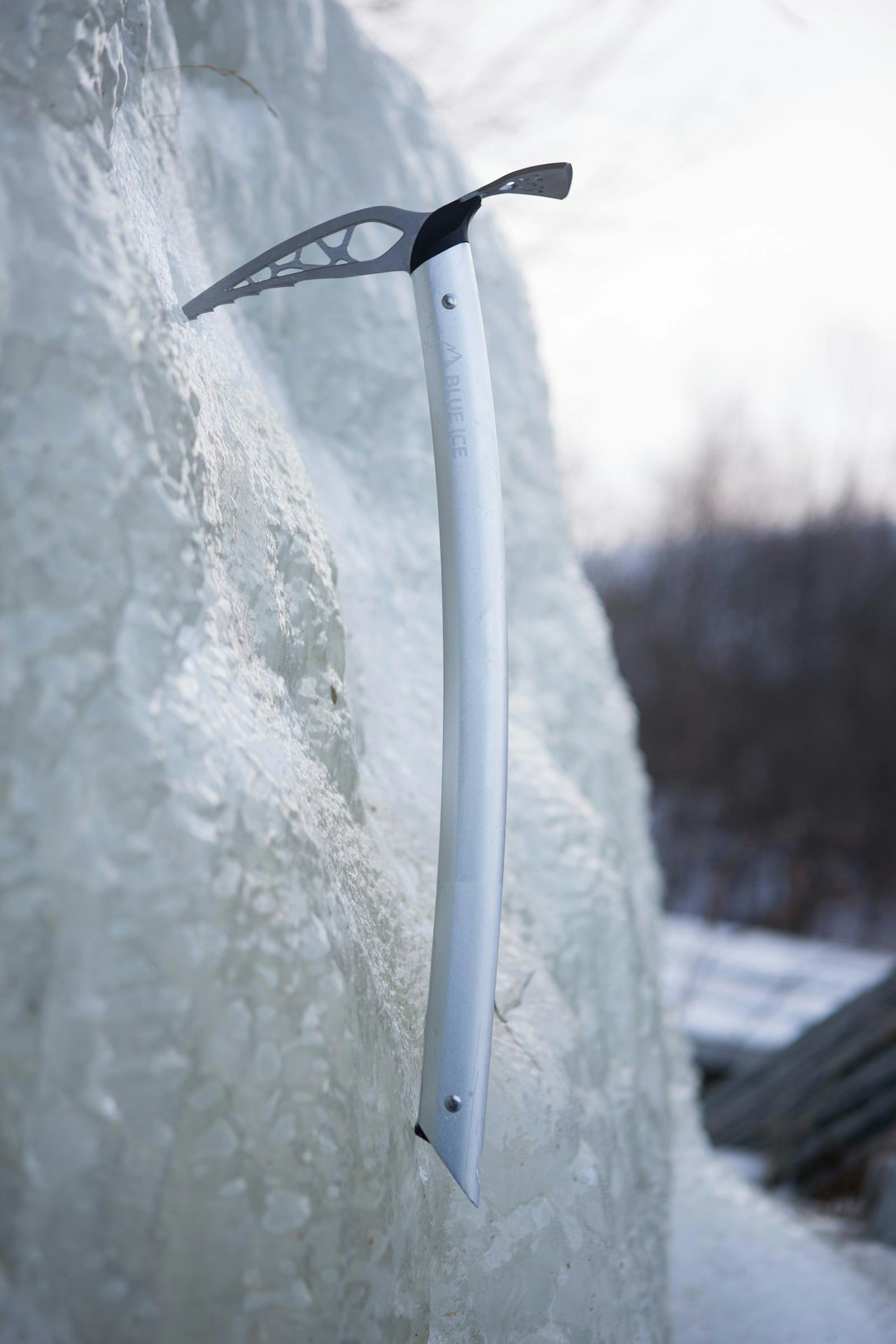 Blue Ice Hummingbird Blue Ice Hummingbird