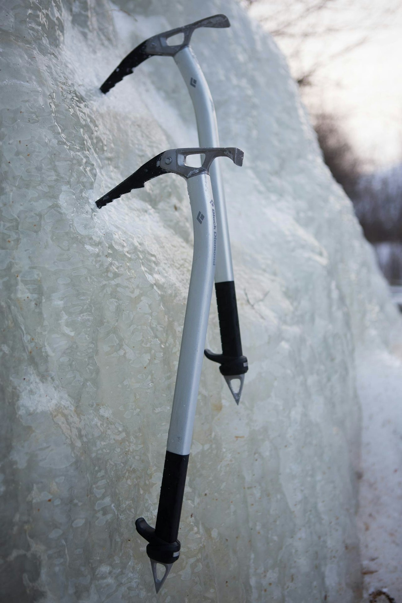 Black Diamond Venom Black Diamond Venom