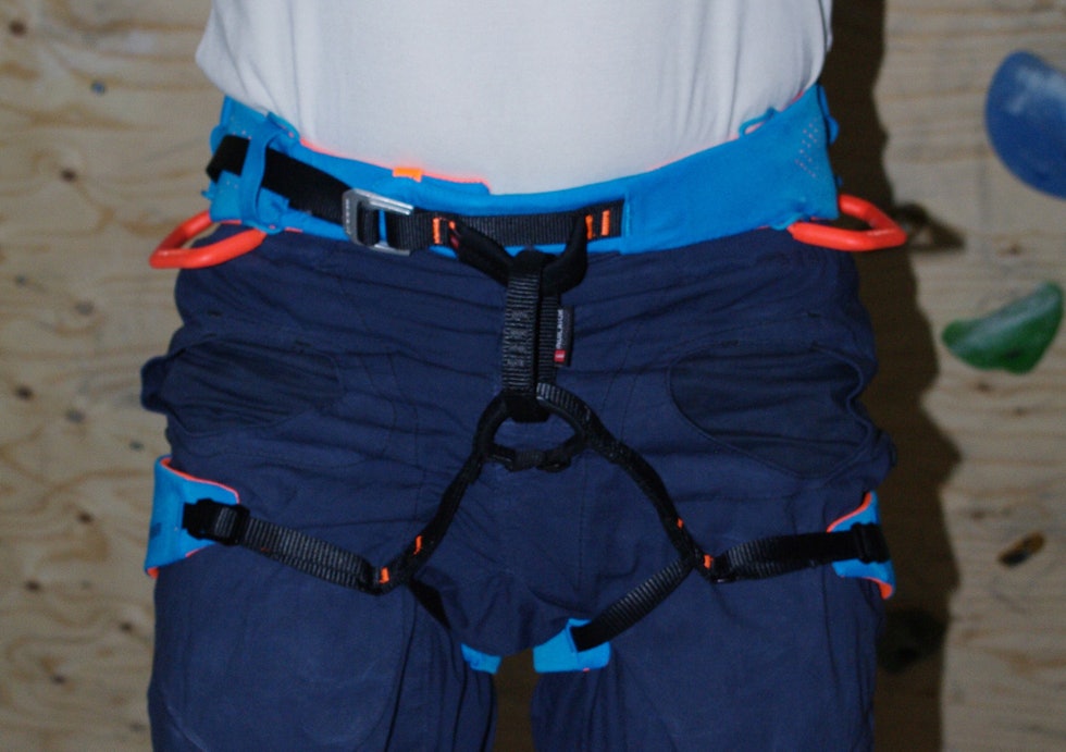 mammut mammut