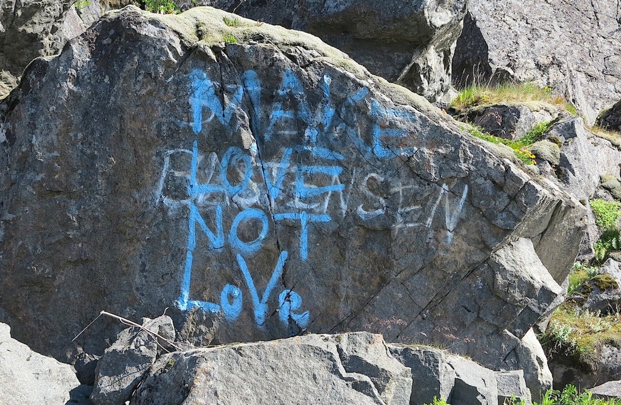 Tagging i Lofoten. Foto: Dag Hagen