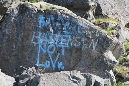 Tagging i Lofoten. Foto: Dag Hagen