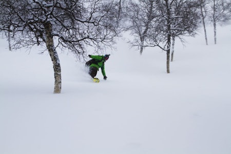 Mye snø og glissen skog - frikjøringen på Haukelifjell skisenter er faktisk ikke så verst. Foto: Henrik Jørgensen Haukelifjell skisenter freeride frikjøring alpint randonee