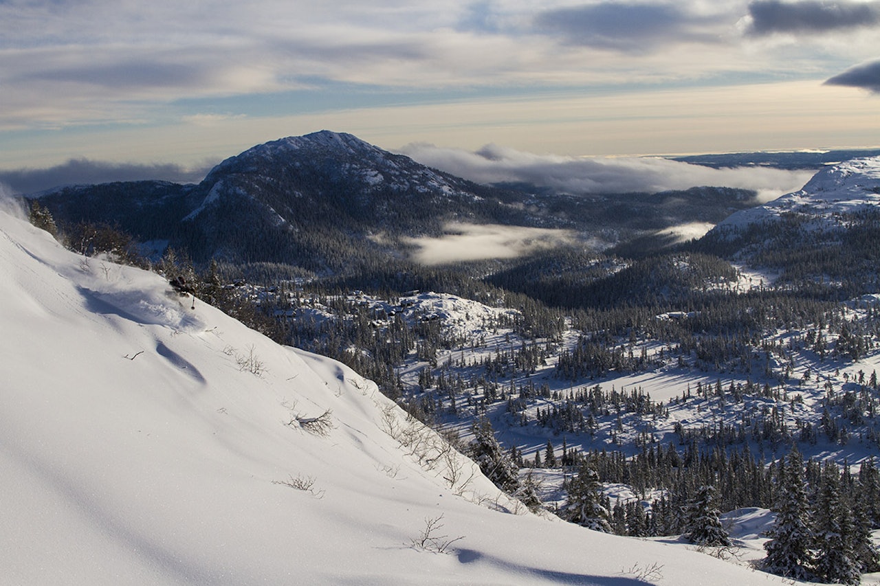 NOVEMBERPUDDER: Høgevarde Fjellpark på Norefjell har fått snø i bøttevis. Foto: Henrik Ulleland NOVEMBERPUDDER: Høgevarde Fjellpark på Norefjell har fått snø i bøttevis. Foto: Henrik Ulleland