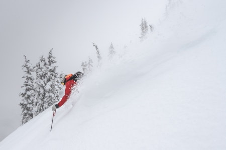 PUDDERGARANTI: At reisen til Canada er ganske lang og prisen på heliskiing er ganske høy, glemmer du ganske kjapt når forhold som disse varer en uke. Med daglig påfyll og høydemetergaranti PUDDERGARANTI: At reisen til Canada er ganske lang og prisen på heliskiing er ganske høy, glemmer du ganske kjapt når forhold som disse varer en uke. Med daglig påfyll og høydemetergaranti