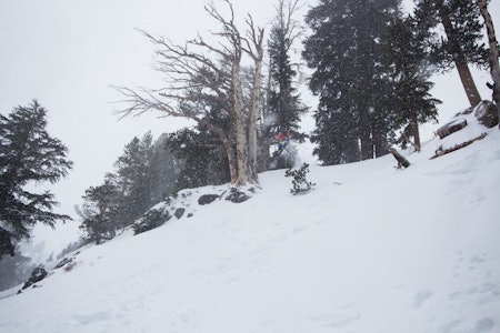 PUDDERPARADIS: Transformeringen fra sol- til pudderparadis skjedde over natta i Mammoth. Det måtte Stian Fintland Skaug utnytte til det fulle. Foto: Anders Holtet PUDDERPARADIS: Transformeringen fra sol- til pudderparadis skjedde over natta i Mammoth. Det måtte Stian Fintland Skaug utnytte til det fulle. Foto: Anders Holtet