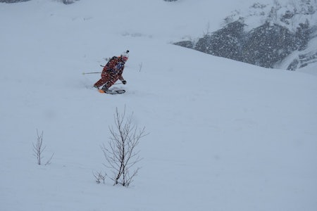 SHREDDERS: Skikjørerne sendte hardt og kjørte solid under årets konkurranse. Foto: Oddvar Bratteteig SHREDDERS: Skikjørerne sendte hardt og kjørte solid under årets konkurranse. Foto: Oddvar Bratteteig