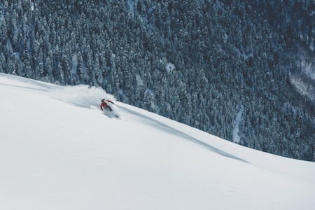 GOLDALEN: Svanetiske fjellsider er laga for lange telemarksvingar. Alle foto: Bård Basberg GOLDALEN: Svanetiske fjellsider er laga for lange telemarksvingar. Alle foto: Bård Basberg