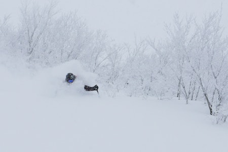 JULEFERIE: Robert Aaring viser hvorfor han dro til Japan i romjula. Foto: Heidi Pallin Aaring