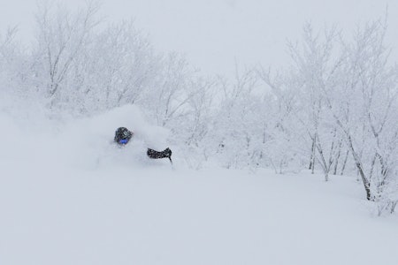 JULEFERIE: Robert Aaring viser hvorfor han dro til Japan i romjula. Foto: Heidi Pallin Aaring JULEFERIE: Robert Aaring viser hvorfor han dro til Japan i romjula. Foto: Heidi Pallin Aaring
