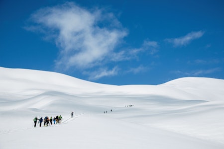 Ei lang rekkje skiløparar på veg opp dei «snille» bakkane mot Urbakken og vidare opp mot Blæja. Foto: Håvard Myklebust.