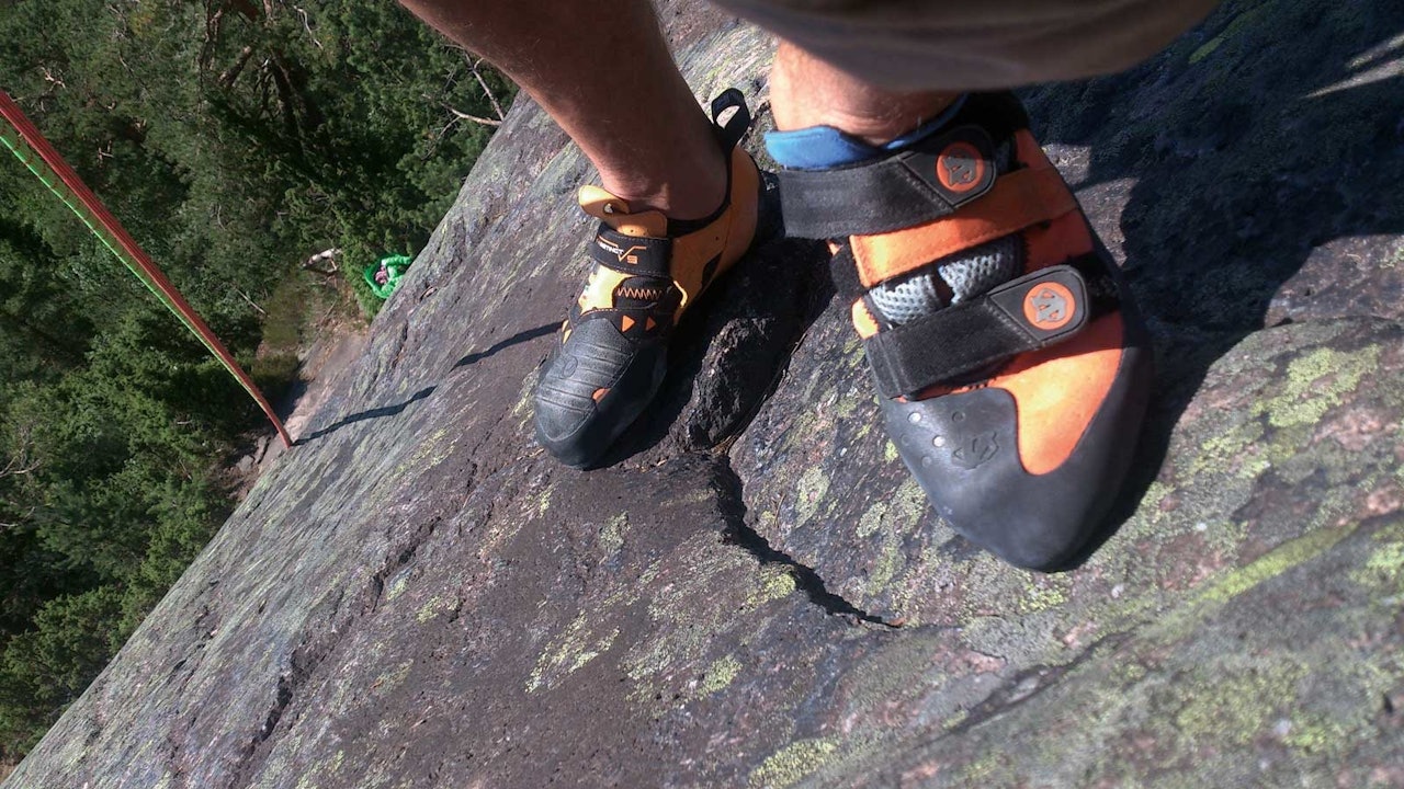 Ute i felten: Instinct VS og Shaman på Vardåsens svaruter. Foto: Dag Hagen Ute i felten: Instinct VS og Shaman på Vardåsens svaruter. Foto: Dag Hagen