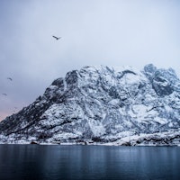Det er ikke rart Fanning likte den norske naturen. Foto: Trevor Moran