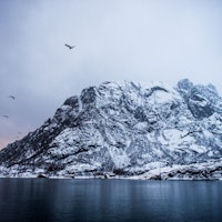 Det er ikke rart Fanning likte den norske naturen. Foto: Trevor Moran Det er ikke rart Fanning likte den norske naturen. Foto: Trevor Moran