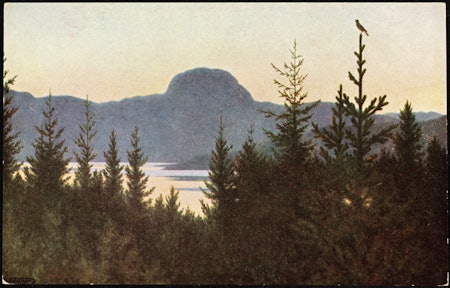 Maleriet "Andersnatten" av Theodor Kittelsen er nå solgt for hele 14 millioner. 