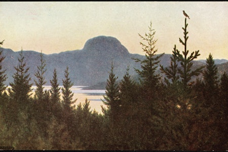 Maleriet "Andersnatten" av Theodor Kittelsen er nå solgt for hele 14 millioner. 