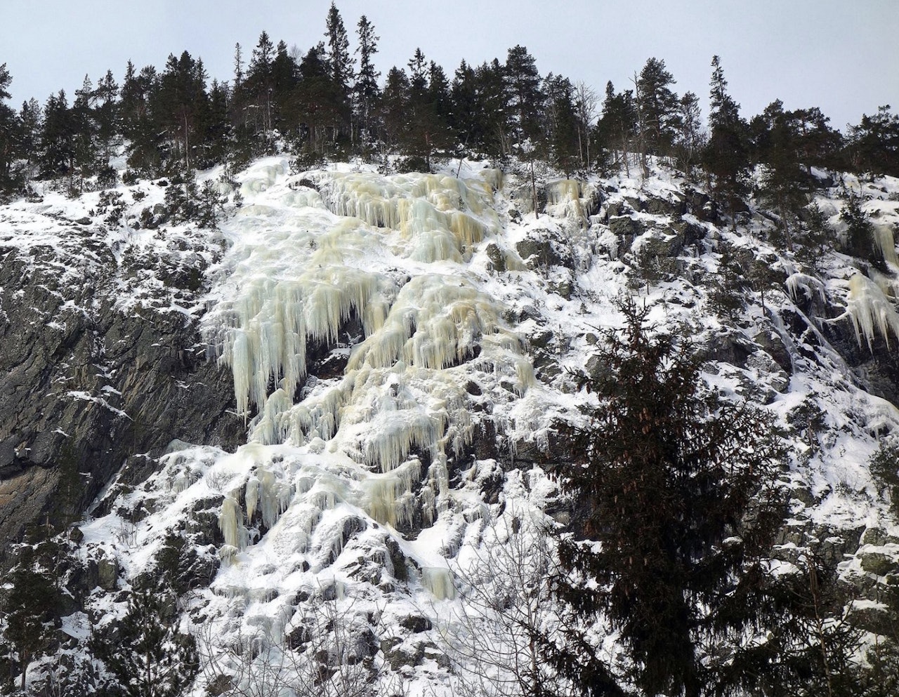 Hørtekollen. Foto: Jakob Winge Møllersen Hørtekollen. Foto: Jakob Winge Møllersen
