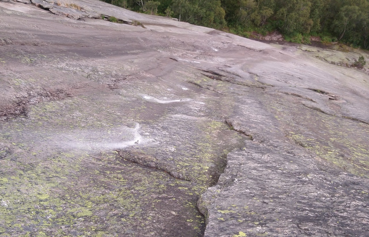 Rebolting på Hægefjell. Foto: Thor Inge Hansen Rebolting på Hægefjell. Foto: Thor Inge Hansen