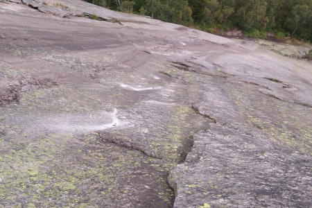 Rebolting på Hægefjell. Foto: Thor Inge Hansen Rebolting på Hægefjell. Foto: Thor Inge Hansen