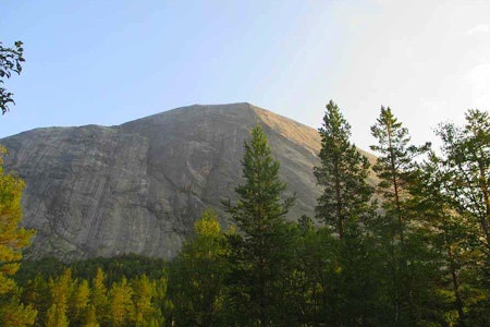 Hægefjell i Nissedal.  Hægefjell i Nissedal.