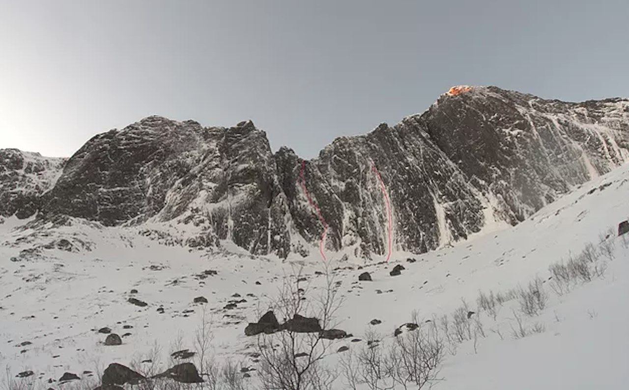 Nyturer på Senja. Foto: Signar Nilsen Nyturer på Senja. Foto: Signar Nilsen